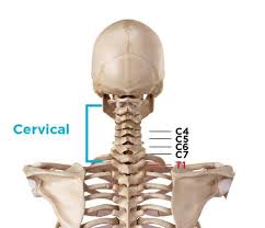 We did not find results for: Do I Have A Herniated Disc Symptoms Causes Back Treatments