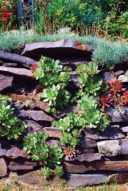 How to plant plants in a rock garden. Tips For Rock Garden Landscaping Gardening Hudson Valley Chronogram Magazine