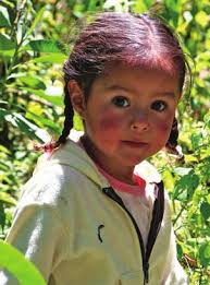 Going Ape in Uganda Monarch Butterflies in Central Mexico Green Living,  News and More . . .