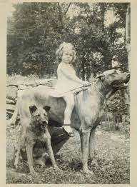 Vintage Everyday Vintage Portraits Of Girls With Their Dogs Vintage Dog Animals Vintage Photos