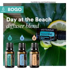 Pin On Essential Oils