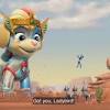 Nickelodeon paw patrol 3 in 1 set 24 pc puzzle memory match game dominoes. Https Encrypted Tbn0 Gstatic Com Images Q Tbn And9gcsfyw4obbkvmwotdxs59gbpuhfergqe0rkw7y4lzxmhswg2pj1m Usqp Cau