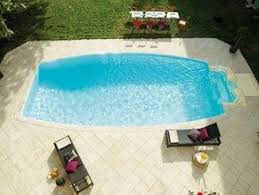 In Ground Swimming Pool Desjoyaux Ovoid Swimming Pool Swimming Pools Pool Swimming