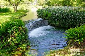 Pin Su Giardini