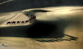Photographer george steinmetz took this amazing photo of caravan of camels trekking across desert sands. Wallpaper Landscape China Water Sand Sky Desert Harmony Mygearandme Musictomyeyes Camel Rs Breathtaking Mygearandmepremium Thegalaxy Autofocus Soe Thebestshot Ringexcellence Dblringexcellence Finegold Highqualityimages