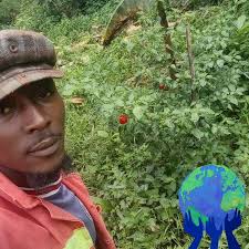 Expanding container garden in Covington, GA