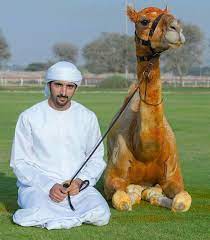 pin on arabian night 2