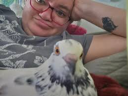 Is it normal for pigeons to be codependent and cuddle with their owners?