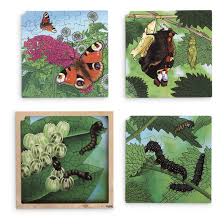 The materials you need to use are cardboard (paper with a hard surface can be a substitute), sc. Butterfly Life Cycle 4 Layer Puzzle With App Jigsaw Puzzles Games Puzzles Early Childhood Education Education Supplies Nasco
