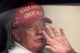 CALVIN D. ROLLINS; UCONN PROFESSOR