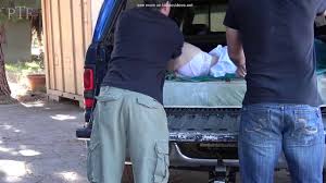 Ptf, they will pay HD porn - SEXTVX.COM