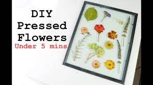 Lay out your flowers on the counter, and. Diy Pressed Flowers In Under 5 Minutes Youtube