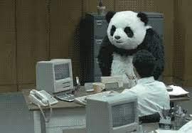 Angry Panda 1 Wish He D Go Back To Eating Shooting And Leaving Panda Gif Funny Gif Panda