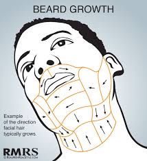 Shave Maps Infographic How To Shave Correctly Which