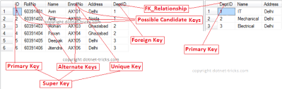Learn The Different Types Of Sql Keys Super Candidate Primary Alternate Unique Foreign C Data Table Sql Server Different Types