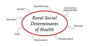 social determinants of health transforming the buzz phrase