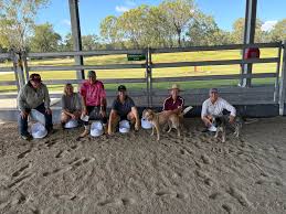 Many thanks to Trish Braithwaite Equestrian for a jam packed weekend of  learning and improving. Your knowledge, humour and gentle delivery has  lifted all the attending members' confidence and was a great