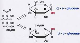 Kapalı formülü c6h12o6 olup, karbonhidratların monosakkaritler sınıfından bir aldoheksozdur. Glikoz Formulu Nedir Formul Gen Tr
