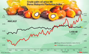 Crude palm oil for biodiesel parameter specifications free fatty acid: Palm Oil Small Caps Reigning Supreme The Star