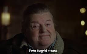 Madison Juarez (@MadisonJuarez)