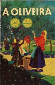 Olive Tree Culture Seabra Antonio Luis De 1935 Poster Prints Vintage Posters Vintage Travel Posters