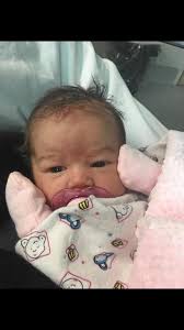 362 babies of the Sunshine Coast