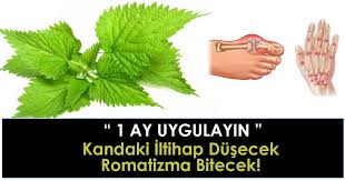 Iltihapli Eklem Romatizmasi Ve Sinir Sikismasi Icin Prof Dr Ibrahim Saracoglu Hocamizin Onermis Oldugu Kiraz Sapi Ve Isirgan Otu Kuru I Herbs The Cure Health