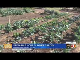 We did not find results for: How To Prepare Your Garden For Arizona Summers Youtube