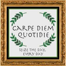 Carpe Diem Quotidie Quote Seize The Day Every Day Quote Motivational Inspirational Latin P Cross Stitch Patterns Cross Stitch Counted Cross Stitch Patterns