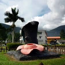 Sekarang homestay di bandaraya shah alam pun ada weyhh. Lundu Sarawak Wikipedia