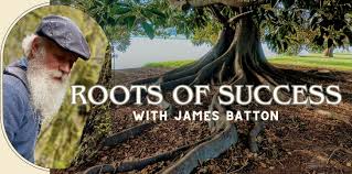 A TALK AMONGST THE TREES