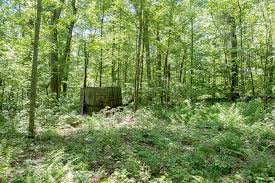 Maybe you would like to learn more about one of these? 11 Awesome Things To Do In Oil Creek State Park Uncovering Pa
