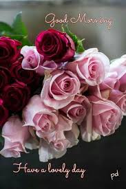 Pin By Chaklee On Good Morning Good Morning Roses Good Morning Flowers Good Morning Flowers Pictures
