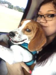 Let's pick up my kid from daycare😂🐐