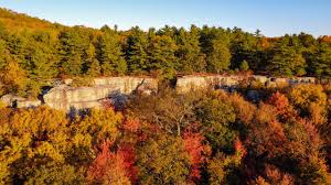 Using, Enjoying, and Protecting the Wild in Wilderness