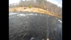 guide carey thorn trout fishing beavers bend