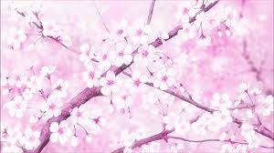 We hope you enjoy our growing collection of hd images. Cherry Blooms Anime Scenery Wallpaper Sakura Tree Anime Scenery