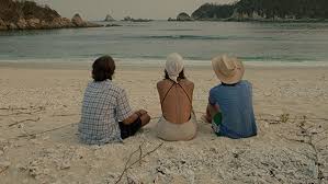 In mexico, two teenage boys and an attractive older woman embark on a road trip and learn a thing or two about life, friendship, sex, and each other. Y Tu Mama Tambien 2001 The Criterion Collection