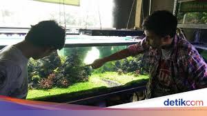 Sehingga rasanya tidak akan sulit mencari toko kue di jakarta. Berkat Hobi Aquascape Pemuda Ini Raup 40 Juta Minggu