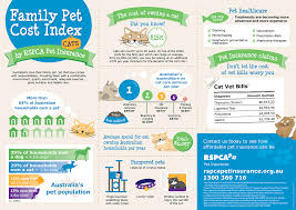 Puppies and kittens under the age of 8 weeks are not able to be insured on any rspca pet insurance policy. Share The Knowledge Pet Insurance Reviews Embrace Pet Insurance Pet Health Insurance