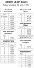 Primary School Teacher Pay Scale