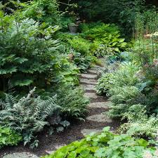 Hanson Garden Photo Shade Garden Design Shade Garden Shade Plants