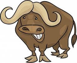 Buffalo Clipart Cartoon Buffalo Cartoon Transparent Free For Download On Webstockreview 2020 You can download (348x348) cartoon bison png clip art for free. buffalo clipart cartoon buffalo