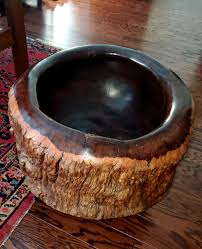 Image result for Combretum schumannii