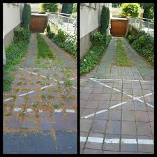 Gartenfliesen Und Pflastersteine Reinigen Freischneider Hochdruckreiniger Im Einsatz Gartenfliesen Garten Gartenpflege