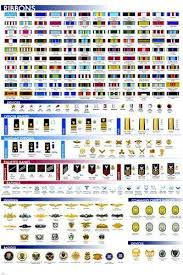 Military Facts Chart Poster Ribbons Insignia Badges Rare Hot