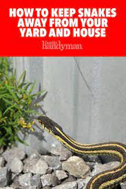 How To Keep Snakes Away From Your Yard And House Keep Snakes Away Snake Repellant Snake Repellant Plants