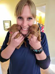 Let's see all your smiling puppers! Featuring Stella. 💕