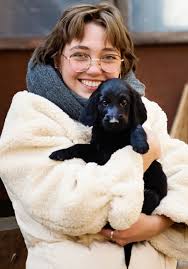 Golden retriever in kilkenny €2,000 beautiful pure bred pedigree golden retriever puppies for sale. Flat Coated Retriever Training Course On Flat Coated Retriever