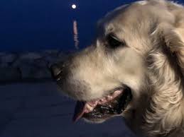 Suche nach rudolf anschober bei amazon.de*. Facebook